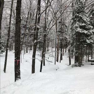 Meet your Posher, Mel